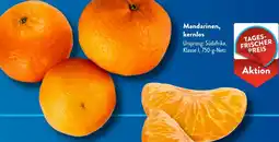 Aldi Süd Mandarinen, kernlos Angebot