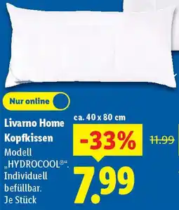 Lidl Livarno Home Kopfkissen Angebot