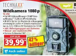 Norma Wildkamera 1080 p Angebot