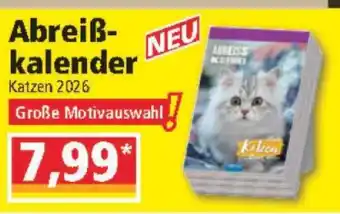 Norma Abreißkalender Katzen 2026 Angebot