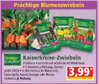 Norma Kaiserkrone-Zwiebeln Angebot