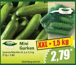 Norma Mini-Gurken Angebot