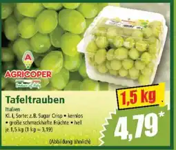 Norma Tafeltrauben Angebot