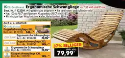 Norma Ergonomische Schwungliege Angebot