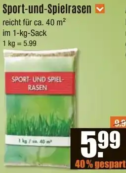 V Baumarkt Sport-und-Spielrasen Angebot