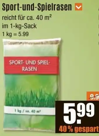 V Baumarkt Sport-und-Spielrasen Angebot