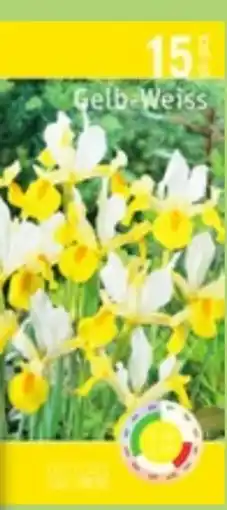 Thomas Philipps Iris Pflanzen Angebot
