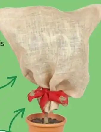 Thomas Philipps Grüner Jan Jute Schutzsack Angebot