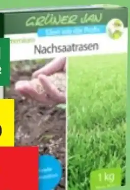 Thomas Philipps Grüner Jan Premium Nachsaatrasen Angebot