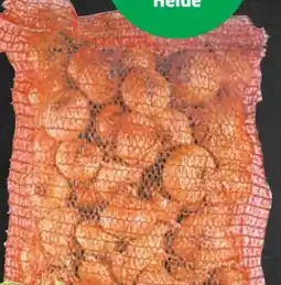 Thomas Philipps Speisezwiebeln Angebot