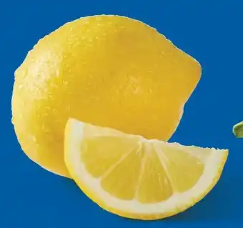 Lidl Zitronen Angebot