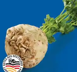 Lidl Knollensellerie Angebot