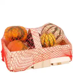 toom Baumarkt Toom Zierkürbisse in Schachtel Angebot