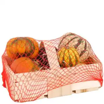 toom Baumarkt Toom Zierkürbisse in Schachtel Angebot
