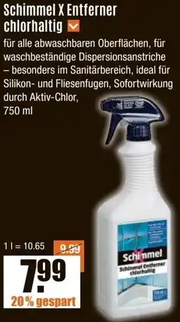 V Baumarkt Schimmel X Entferner chlorhaltig Angebot