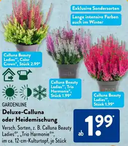 Aldi Süd GARDENLINE Deluxe-Calluna oder Heidemischung Angebot