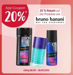 Rossmann Action 8 Angebot