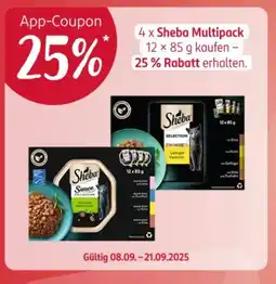 Rossmann Action 13 Angebot