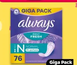 NETTO Always Slipeinlagen Gigapack Angebot