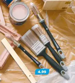 NETTO Tukan Pinsel 5er-Set Angebot