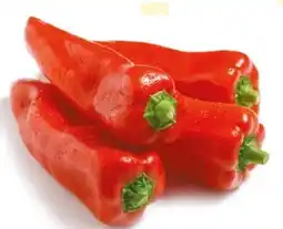 NETTO Rote Spitzpaprika Angebot