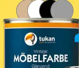 NETTO Tukan Möbelfarbe Angebot