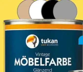 NETTO Tukan Möbelfarbe Angebot
