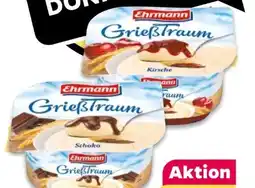 NETTO Ehrmann Grieß-Traum Schoko Angebot