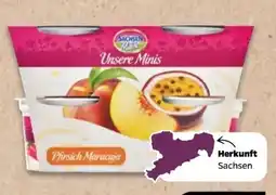 NETTO Sachsenmilch Unsere Minis Pfirsich Maracuja Angebot