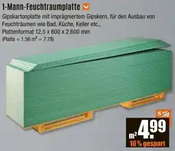 V Baumarkt 1-Mann-Feuchtraumplatte Angebot