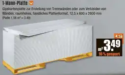 V Baumarkt 1-Mann-Platte Angebot