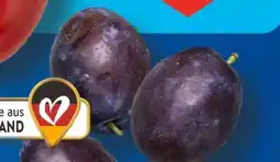 Aldi Süd Zwetschgen Angebot