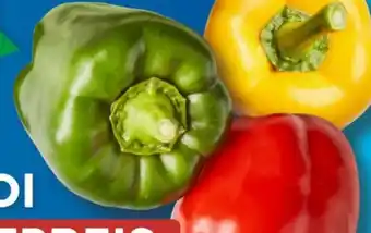 Aldi Süd Paprika Mix Angebot