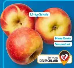 Aldi Süd Äpfel Elstar Angebot