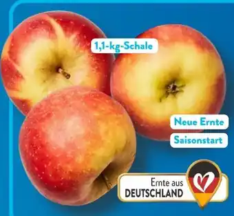 Aldi Süd Äpfel Elstar Angebot