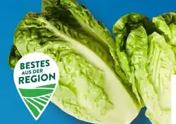 Aldi Süd Salatherzen Mini Romana Angebot