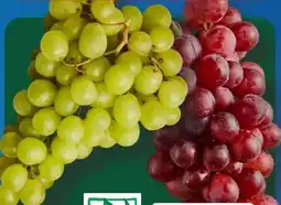 Aldi Süd Bio Smiley Bio-Trauben Angebot