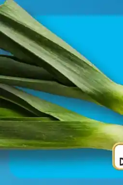 Aldi Süd Porree Angebot