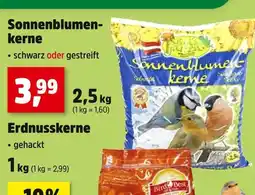 Thomas Philipps Sonnenblumenkerne Angebot