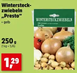 Thomas Philipps Wintersteckzwiebeln presto Angebot