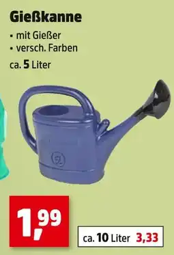 Thomas Philipps Gießkanne Angebot