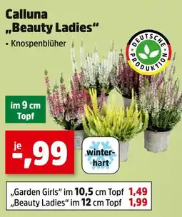 Thomas Philipps Calluna beauty ladies Angebot