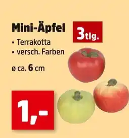 Thomas Philipps Mini-äpfel Angebot