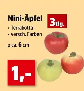 Thomas Philipps Mini-äpfel Angebot