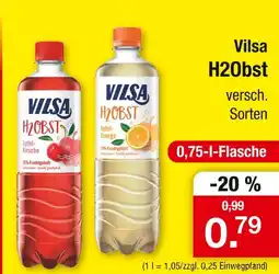Zimmermann Vilsa h20bst apfel-kirsche Angebot