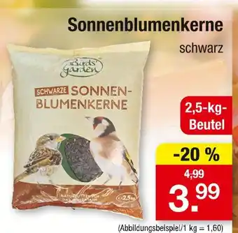 Zimmermann Bird's garden schwarze sonnenblumenkerne Angebot