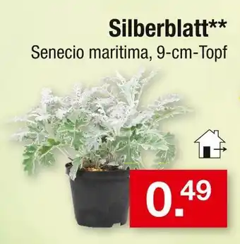 Zimmermann Silberblatt Angebot