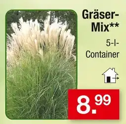 Zimmermann Gräser-mix Angebot