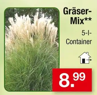 Zimmermann Gräser-mix Angebot