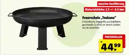 Hagebau Feuerschale „toskana“ Angebot